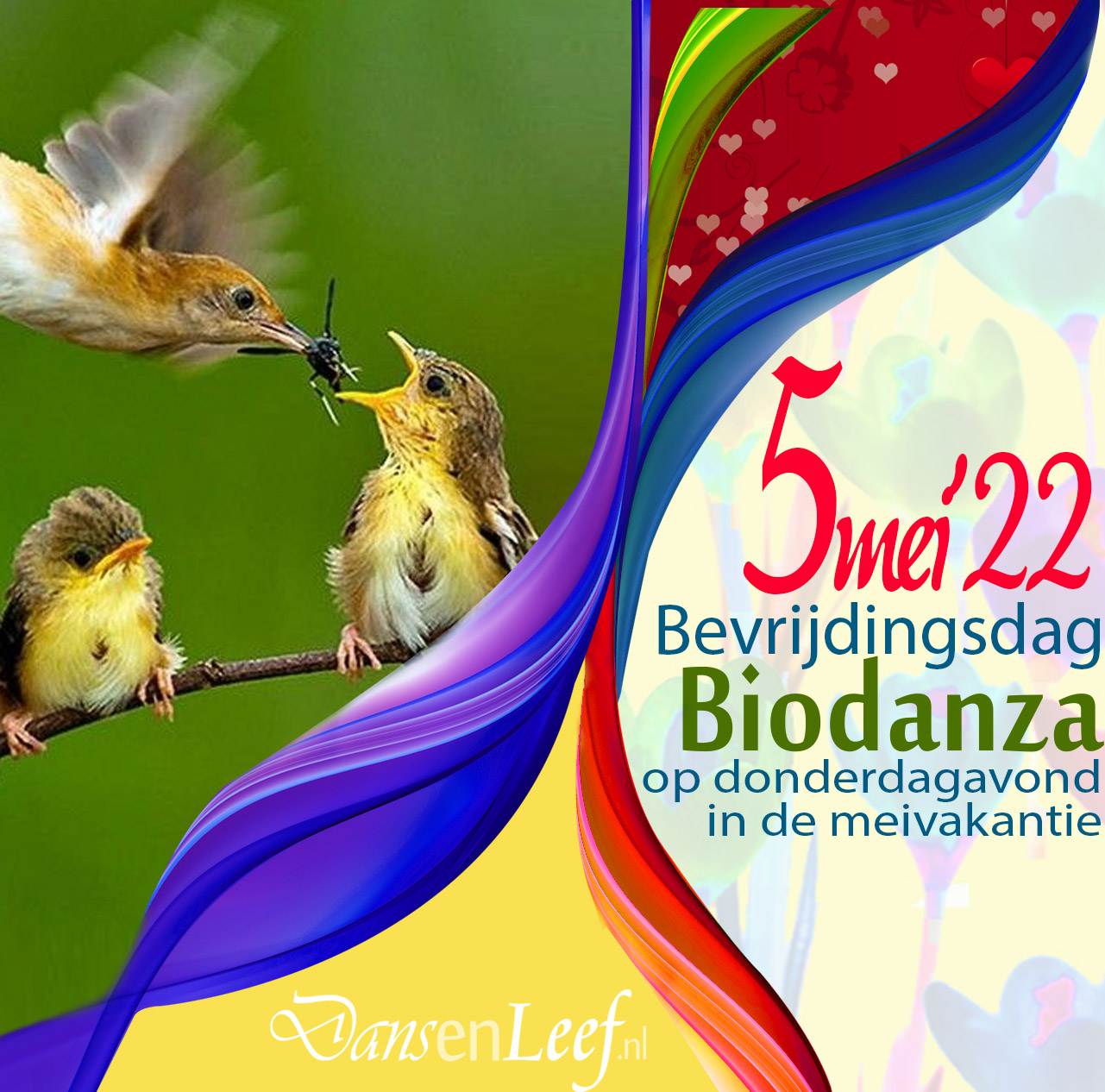 biodanza bevrijdingsdag in de meivakantie