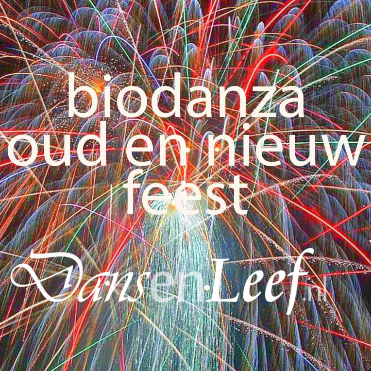 Biodanzafeest oud en nieuw jaarwisseling dans en leef Geny